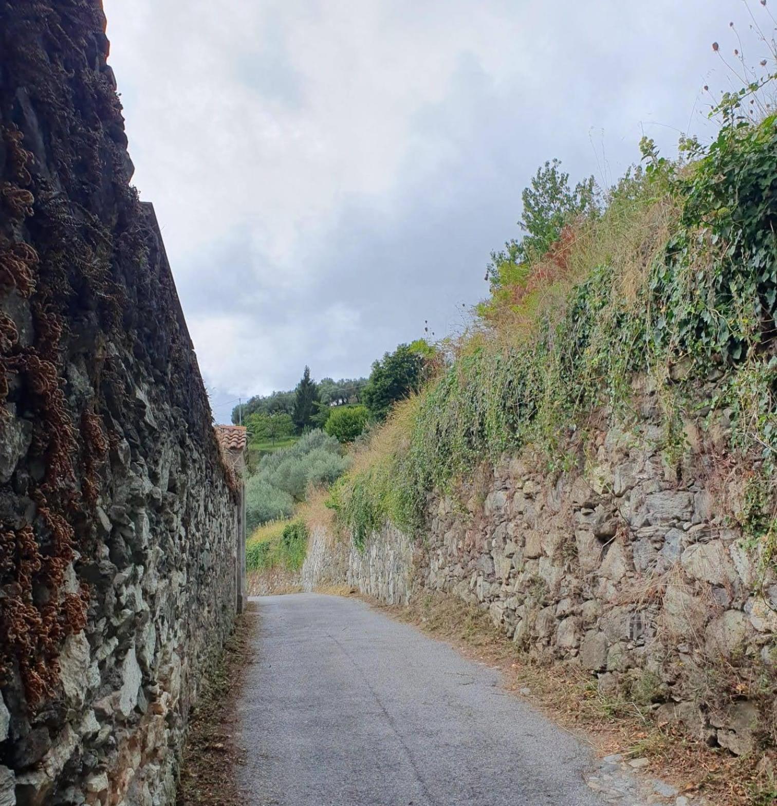 Ca Teodoi Apartamento Génova Exterior foto